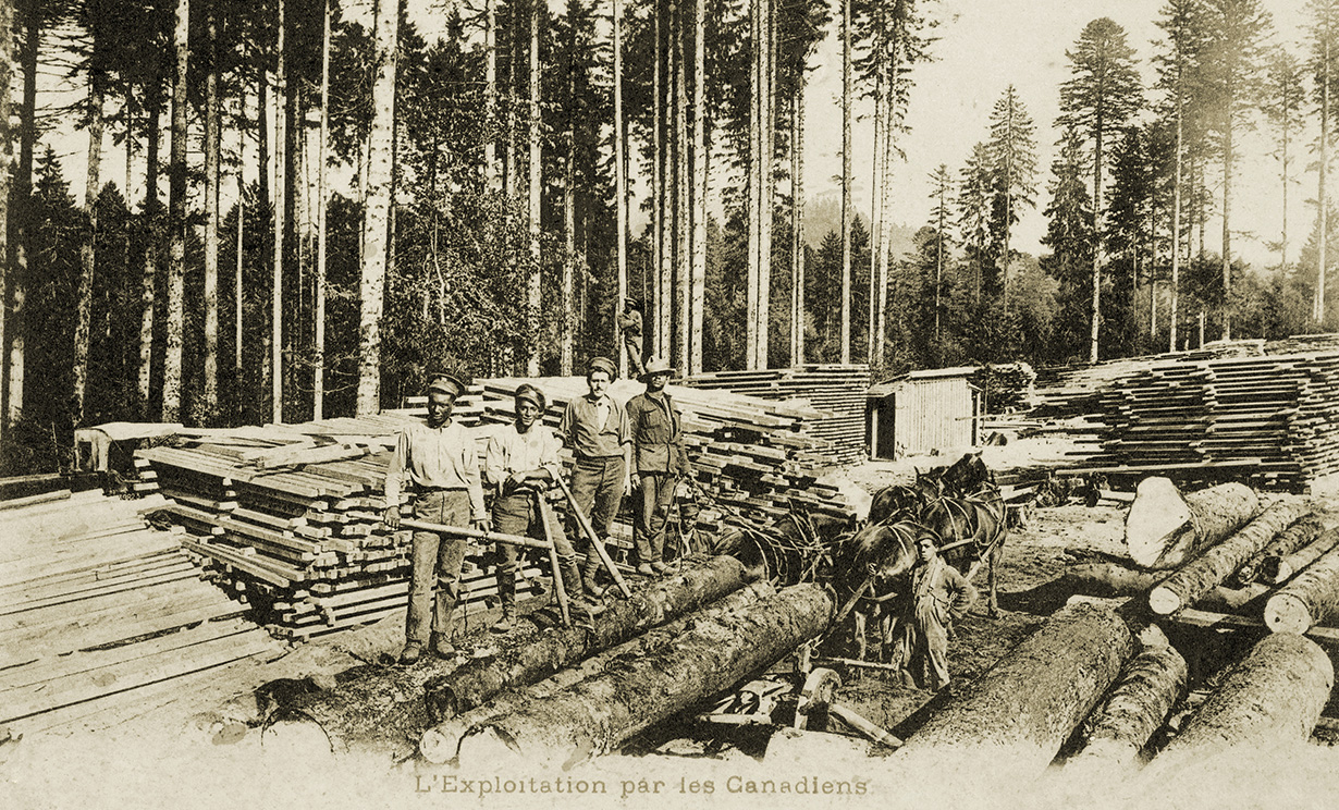 image Four Canadian servicemen working on lumber operations
