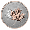 Pure Platinum Coin – Maple Leaf Forever