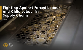 2025 Report - Fighting Against Forced Labour and Child Labour in Supply Chains.pdf 2025 Report - Fighting Against Forced Labour and Child Labour in Supply Chains.pdf