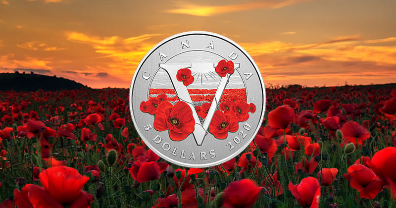 In May 1915 following the Second Battle of Ypres in Belgium, Canadian surgeon Lieutenant-Colonel John McCrae wrote “In Flanders Fields” – a poem that established the poppy as a symbol of remembrance for fallen soldiers.