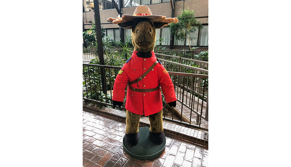 image If you have ever visited our Winnipeg or Ottawa facility, you’ve probably met one of the Mint’s most famous members of security, and honorary member of the Royal Canadian Mounted Police (RCMP). At 5.6 feet tall, our wise moose has been keeping a watchful eye over our buildings, team members, and visitors for over 15 years!