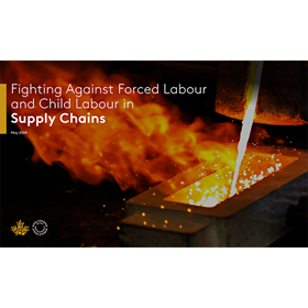 fighting-against-forced-labour-and-child-labour-in-supply-chains-en.pdf fighting-against-forced-labour-and-child-labour-in-supply-chains-en.pdf