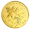 5 oz. Pure Gold Coin - Maple Leaves