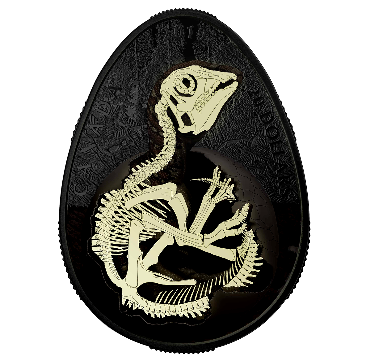 1 oz. Pure Silver Glow-in-the-Dark Coin - Hatching Hadrosaur - Mintage:  4,000 (2019) | The Royal Canadian Mint