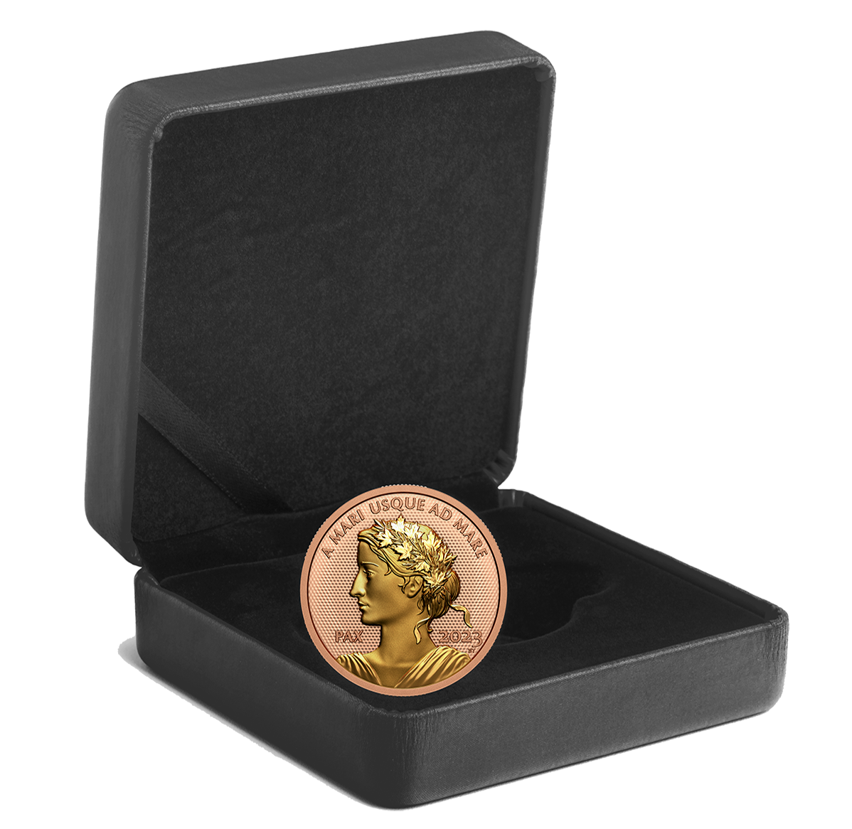 1 oz. Rose Gold Plated Pure Gold Coin – Peace Dollar | The Royal