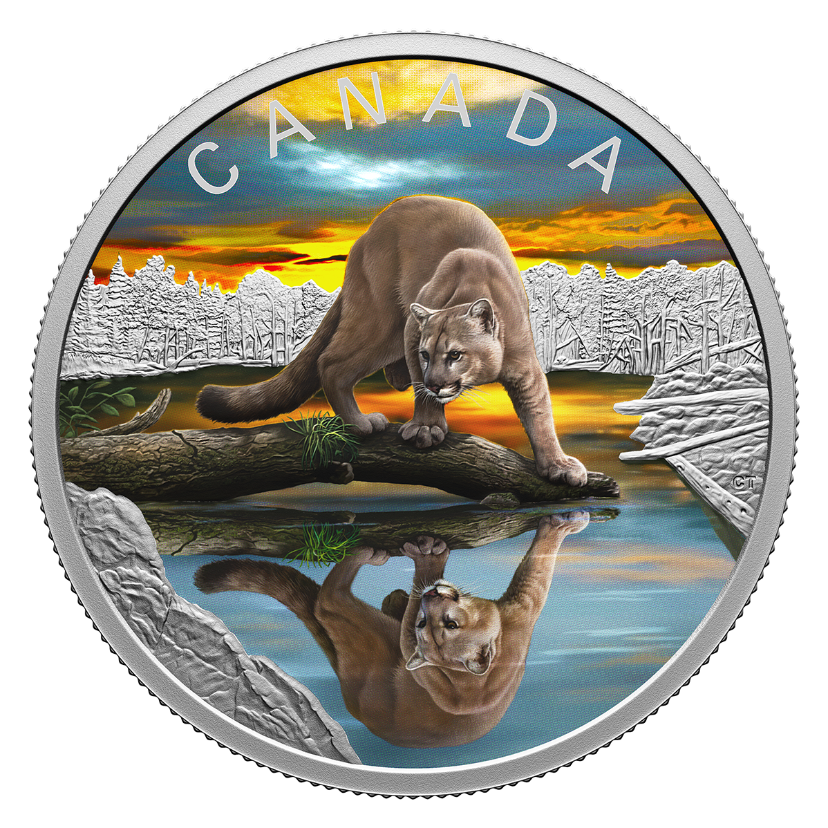 Pure Silver Coin – Wildlife Reflections: Cougar