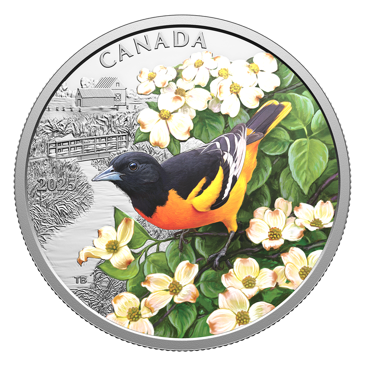 Colourful Birds: Baltimore Oriole – 1 oz. Fine Silver Coin Colourful Birds: Baltimore Oriole – 1 oz. Fine Silver Coin